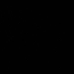 Meet your Posher, Landon